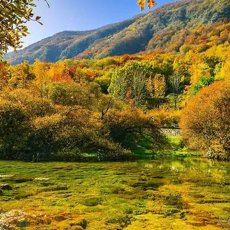 Casetta Mia Bed & Breakfast