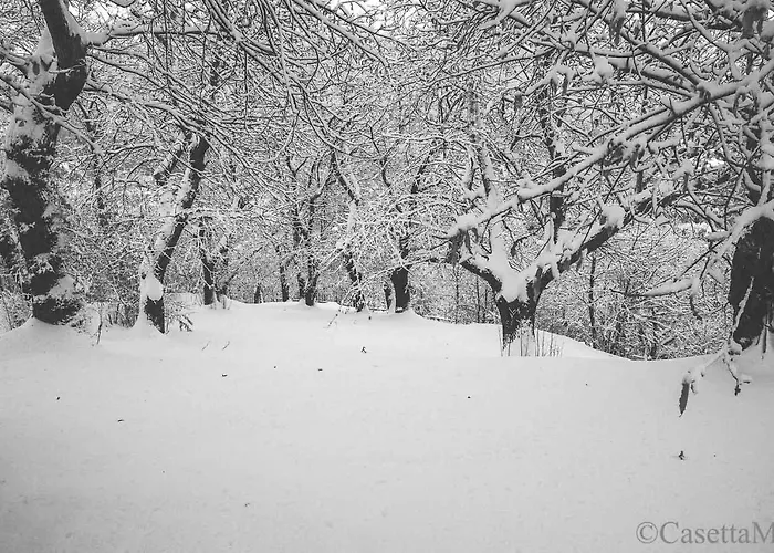 Bed & Breakfast Casetta Mia 3*