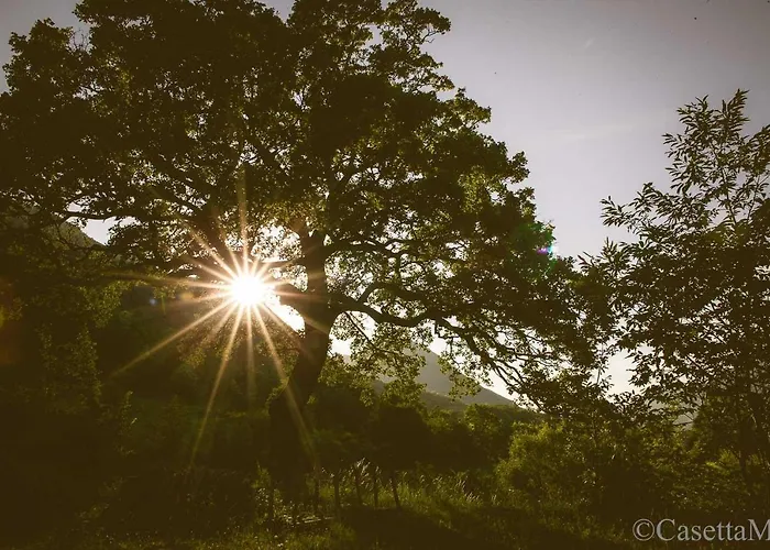 Bed & Breakfast Casetta Mia